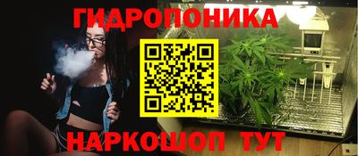 Альфа ПВП Будённовск
