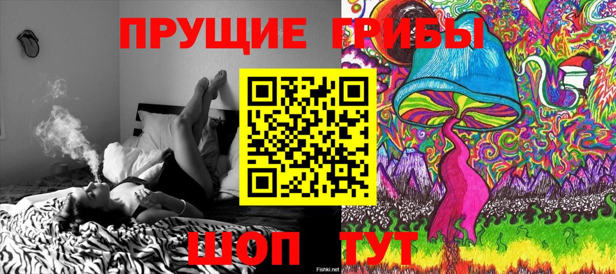 Галлюциногенные грибы MAGIC MUSHROOMS  Вход с VPN  Псилоцибиновые грибы мицелий  Пугачёв 